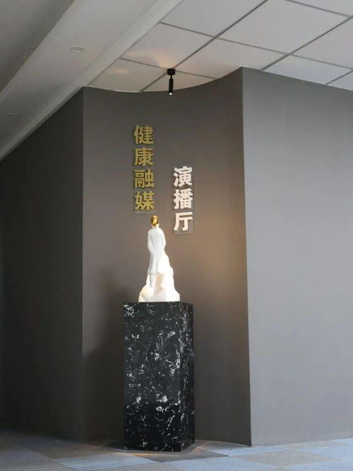 健康融媒演播廳正式上線(xiàn) 唱響健康好聲音，探索工藝美術(shù)品零售新方向